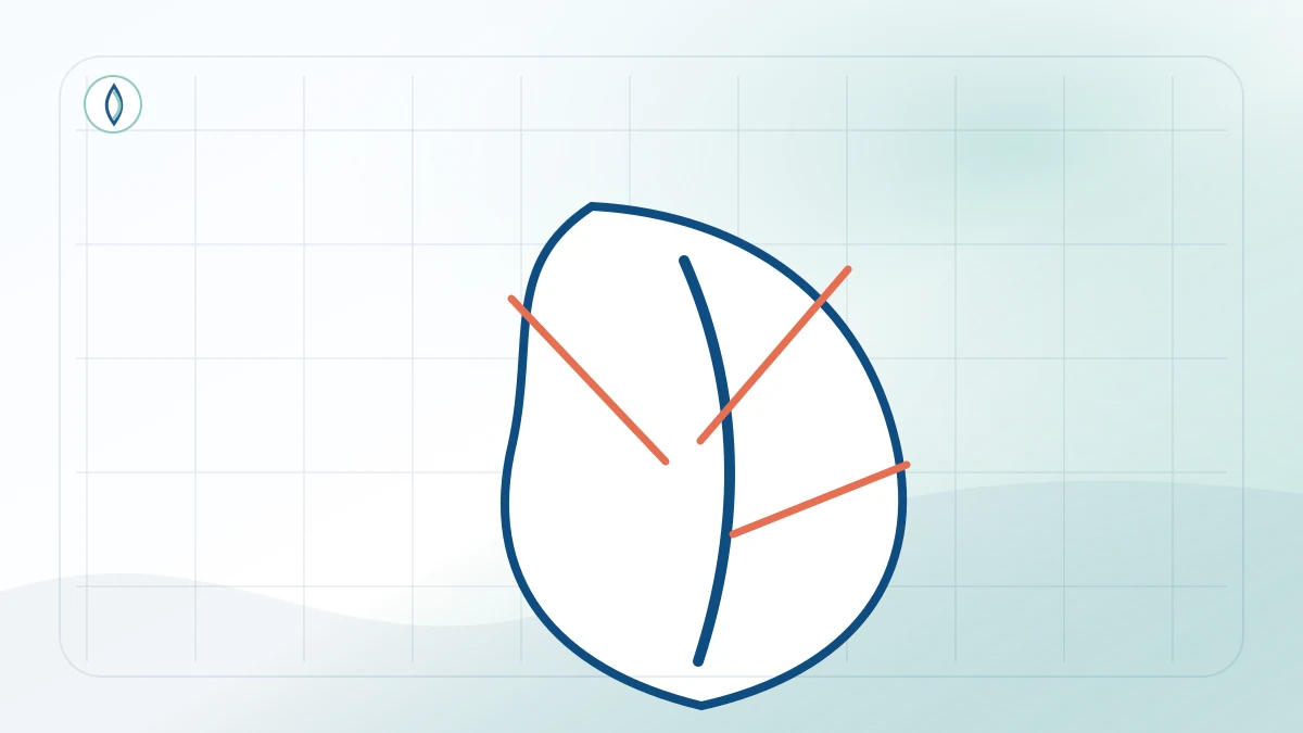 Acupuncture for Lower Back Pain: Benefits, Effectiveness, and What to Expect