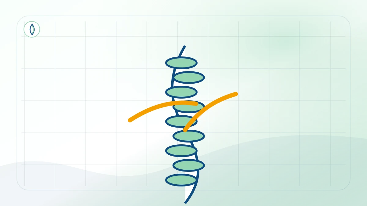 Best Chiropractor in New Jersey | Top Chiropractors Near Me